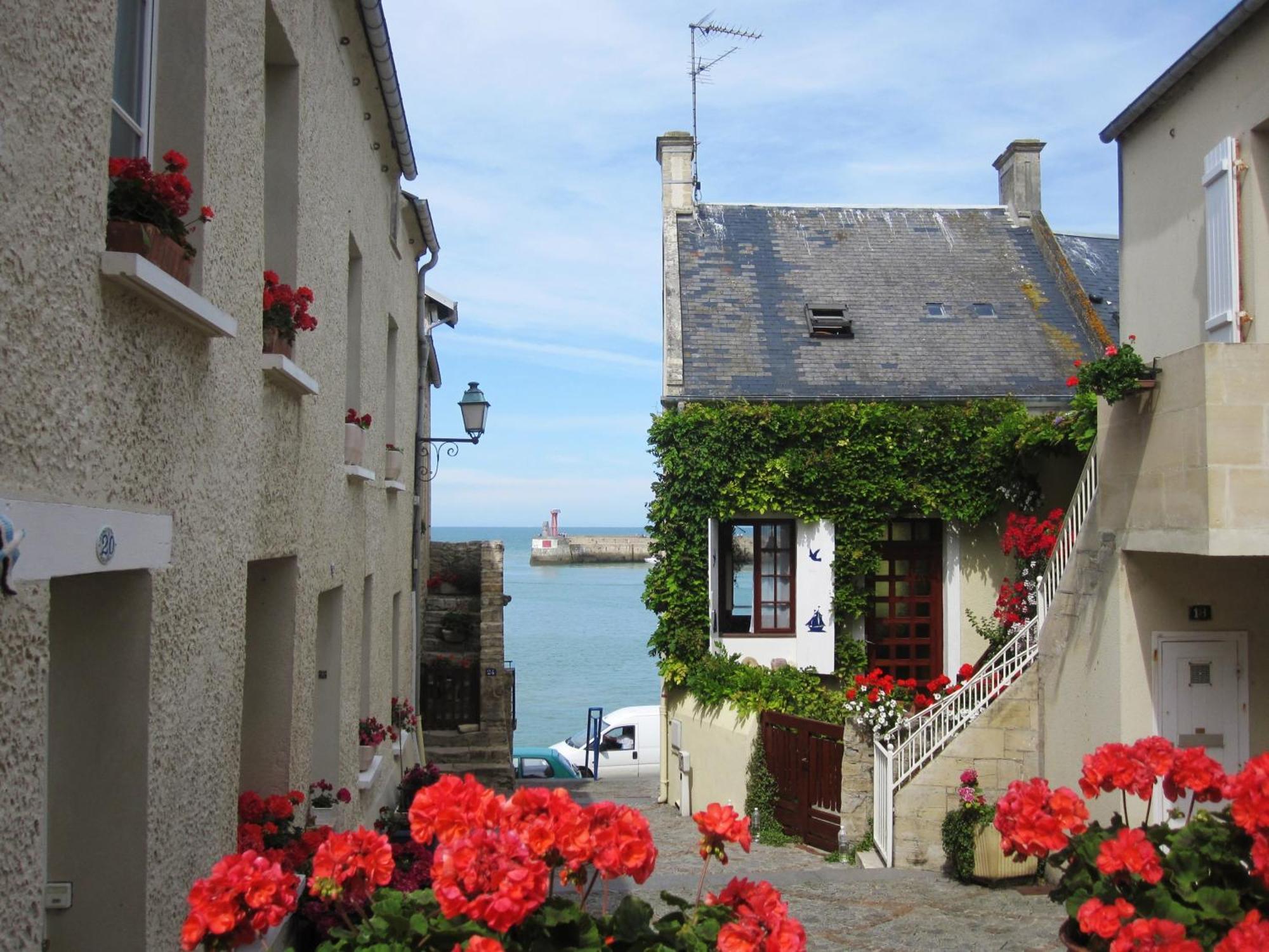 Gite "Au P'Tit Tourois" De Plain-Pied Tout Confort Avec Veranda Proche D'Omaha Beach Et De Bayeux Accueillant Les Animaux Zewnętrze zdjęcie
